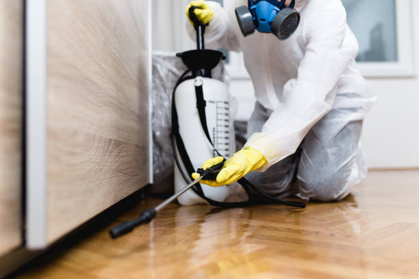 Best Pest Inspection Near Me  in Blennerhassett, WV
