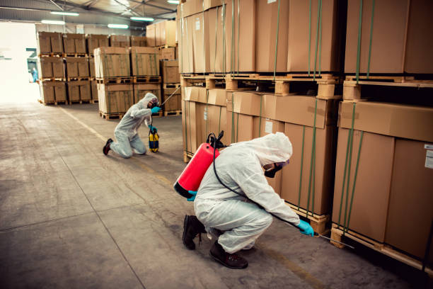 Best Cockroach Control Services  in Blennerhassett, WV