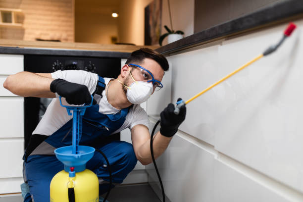 Best Commercial Pest Control Services  in Blennerhassett, WV