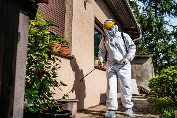 Pest Prevention Services in Blennerhassett, WV