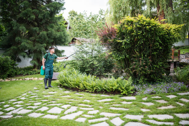 Best Mosquito Control Services  in Blennerhassett, WV