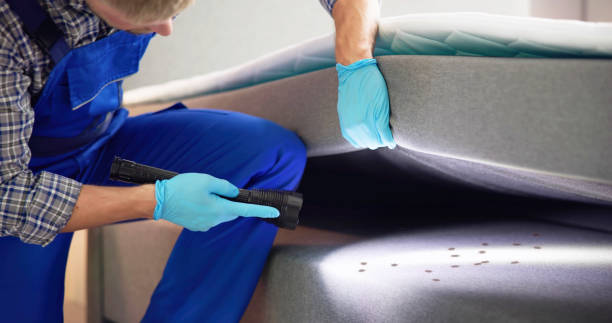 Best Pest Control for Restaurants  in Blennerhassett, WV