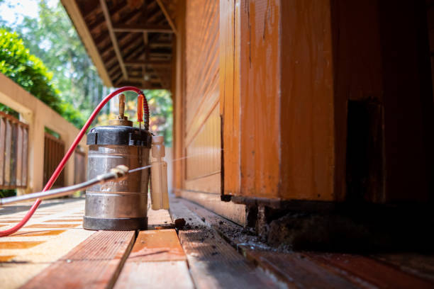 Best Exterminator Services  in Blennerhassett, WV