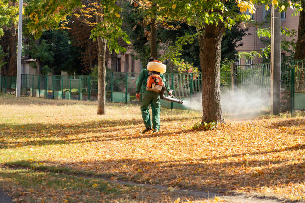 Best Emergency Pest Control  in Blennerhassett, WV