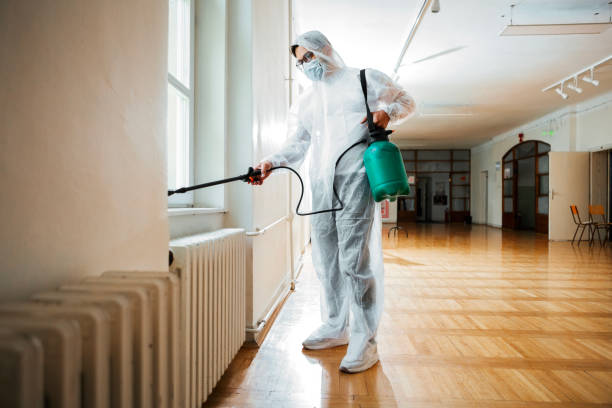 Best Pest Control for Homes  in Blennerhassett, WV