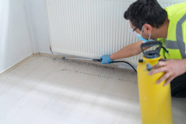Best Ant Control Services  in Blennerhassett, WV
